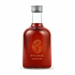 6 O'Clock Damson Gin Liqueur Miniature